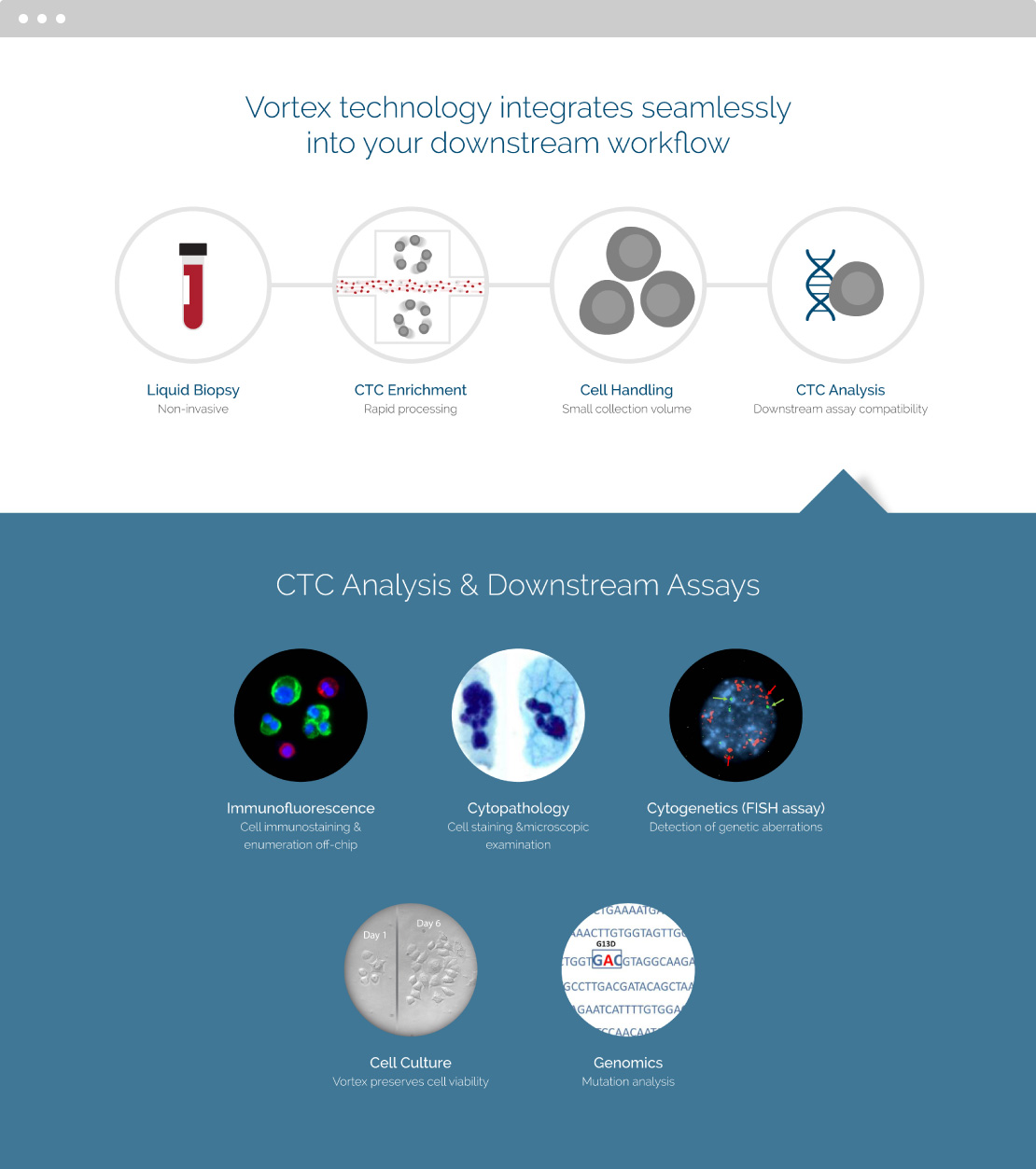 Vortex Website Design